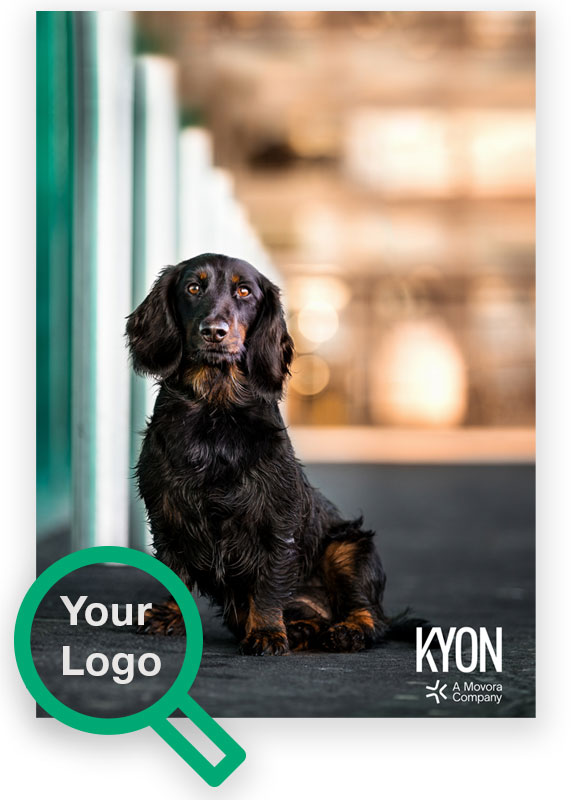 KYON - Personalizzazione del documento