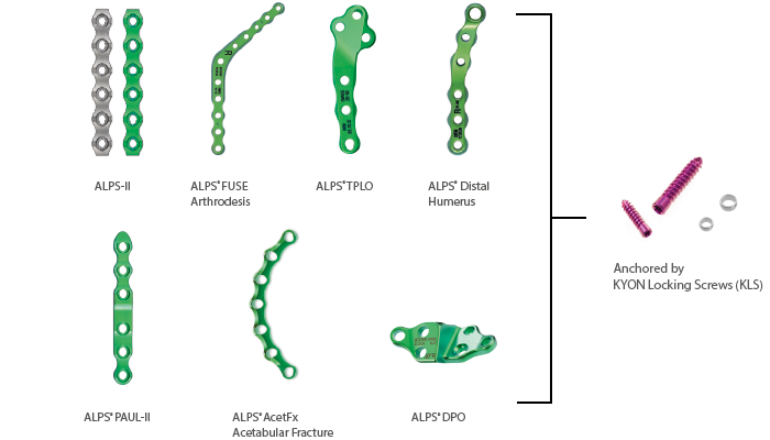 ALPS®Product Range: Det mest avancerede, men alligevel overkommelige belægningssystem