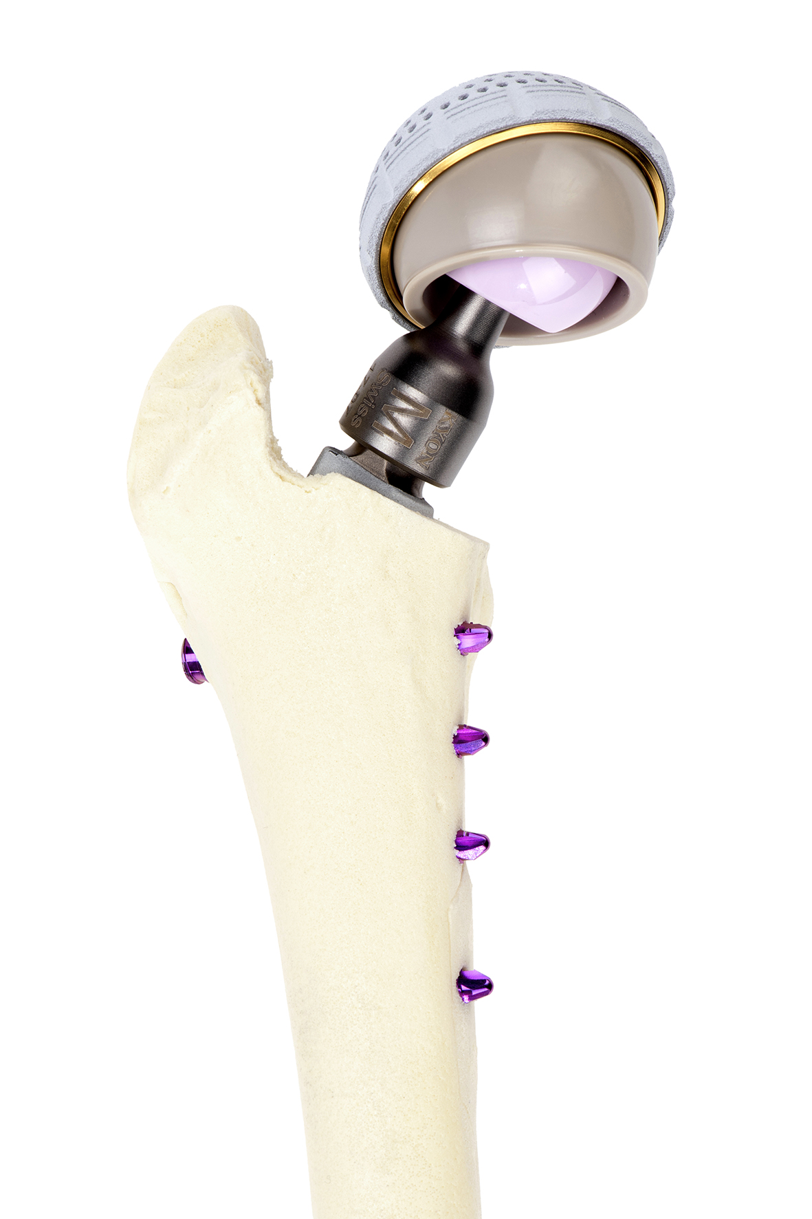 Veterinary THR Total Hip Replacement Implant KYON