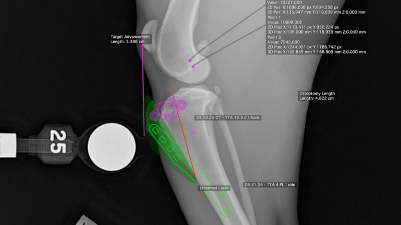 digital templating x-ray of a canine tta procedure