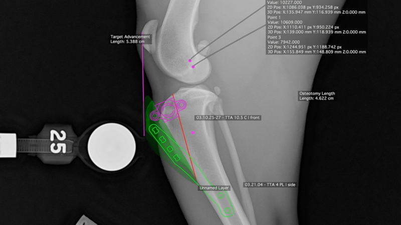 radiographie de modèle numérique d'une procédure de tta canine