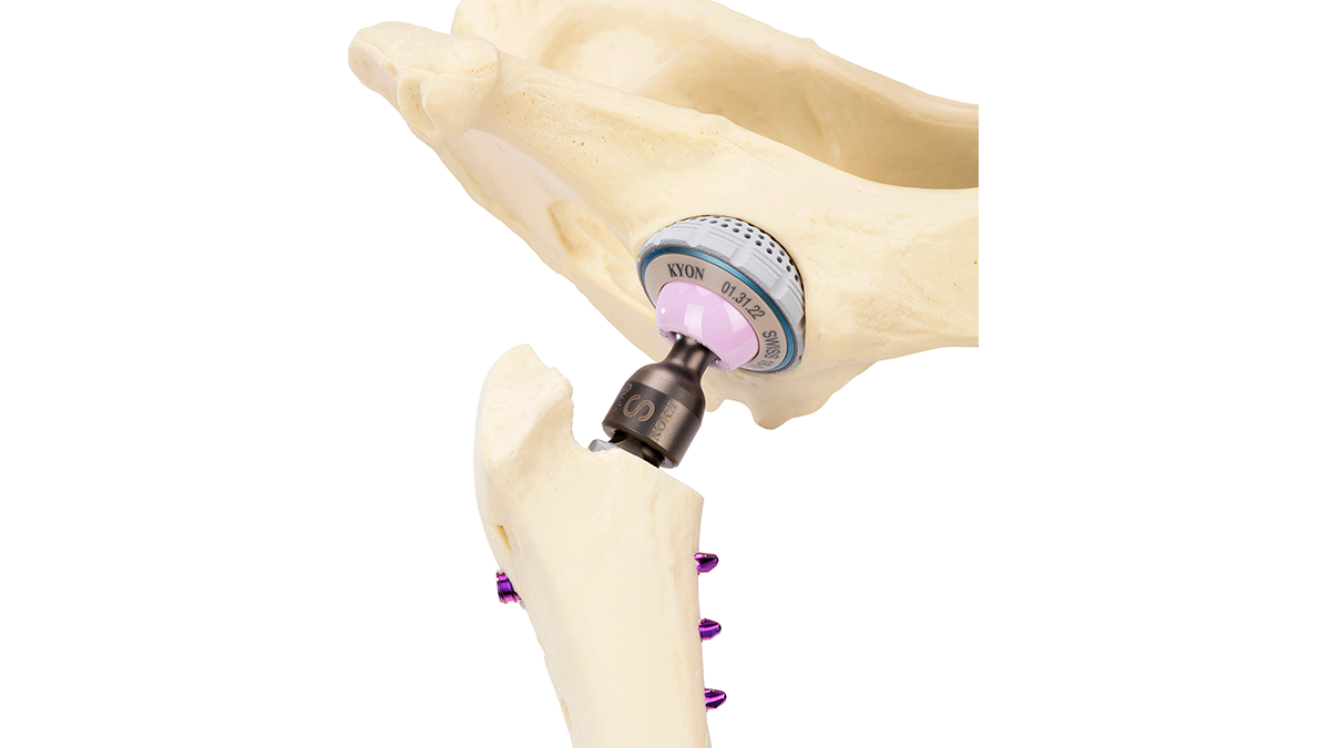 Veterinary THR - Total Hip Replacement Implant