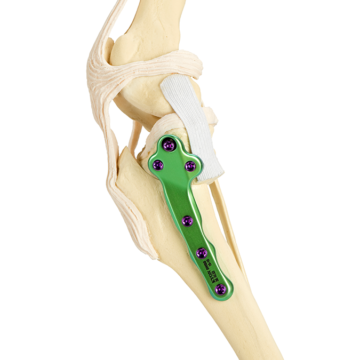 Veterinary Tibial Plateau Leveling Osteotomy implant on a canine skeleton