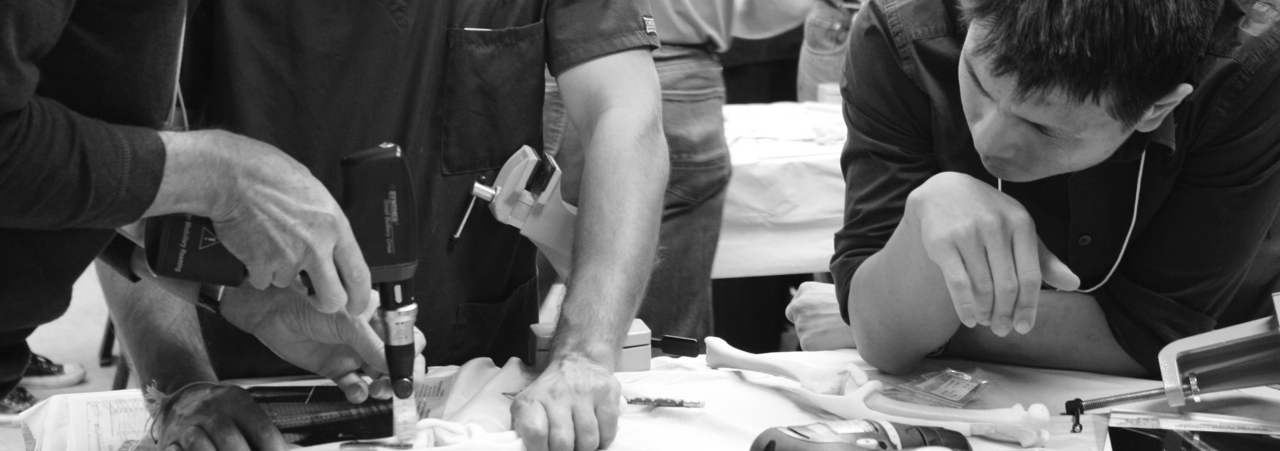 Three men working in a dry lab activity during a TTA veterinary course