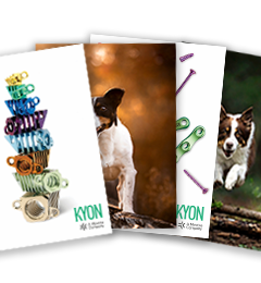 KYON Pictures